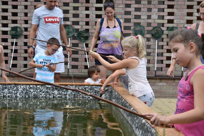 Bárka nap 2021. 08. 01.