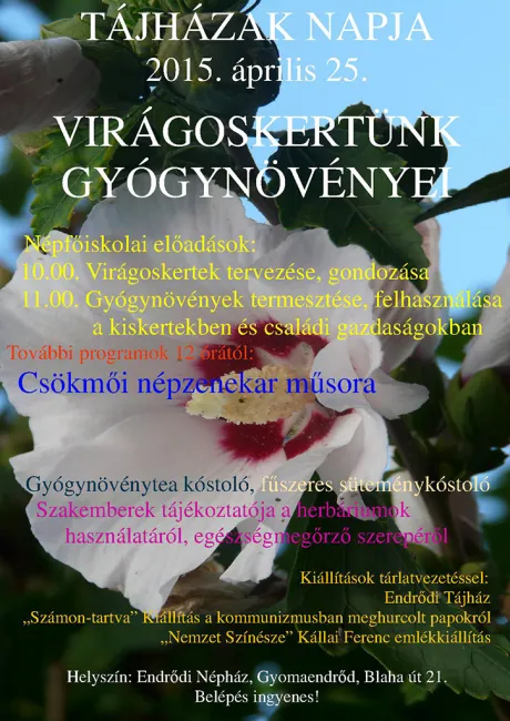 Tájházak Napja - Virágoskertünk Gyógynövényei